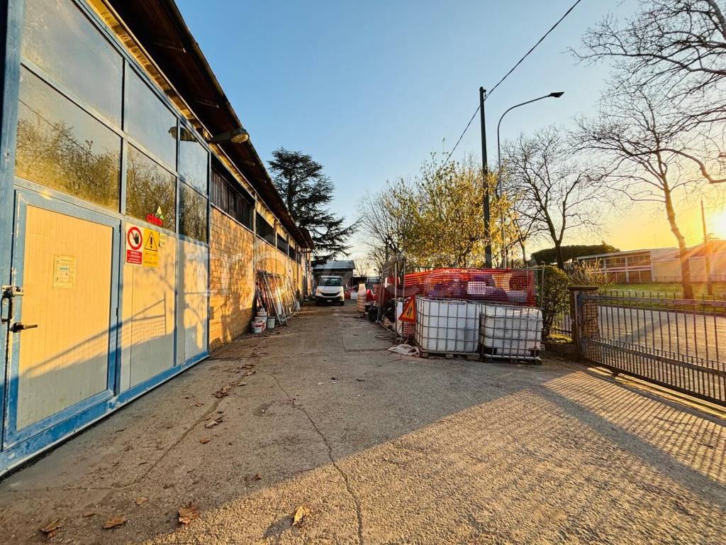 immagine annuncio 2 di 15