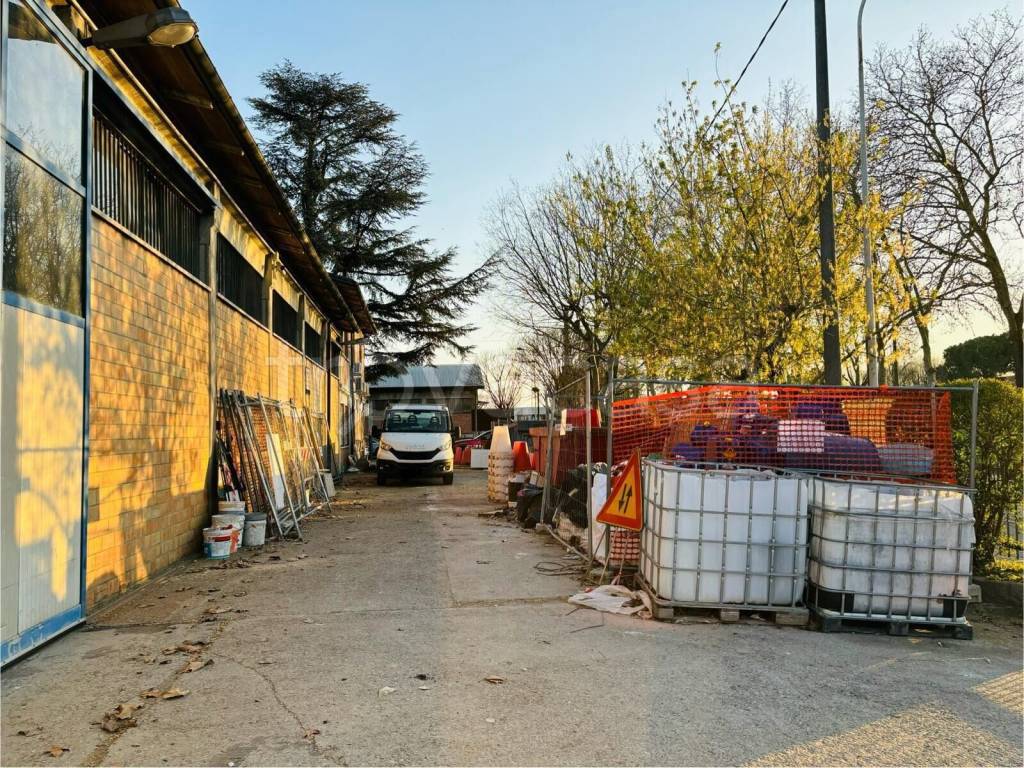 immagine annuncio 3 di 15