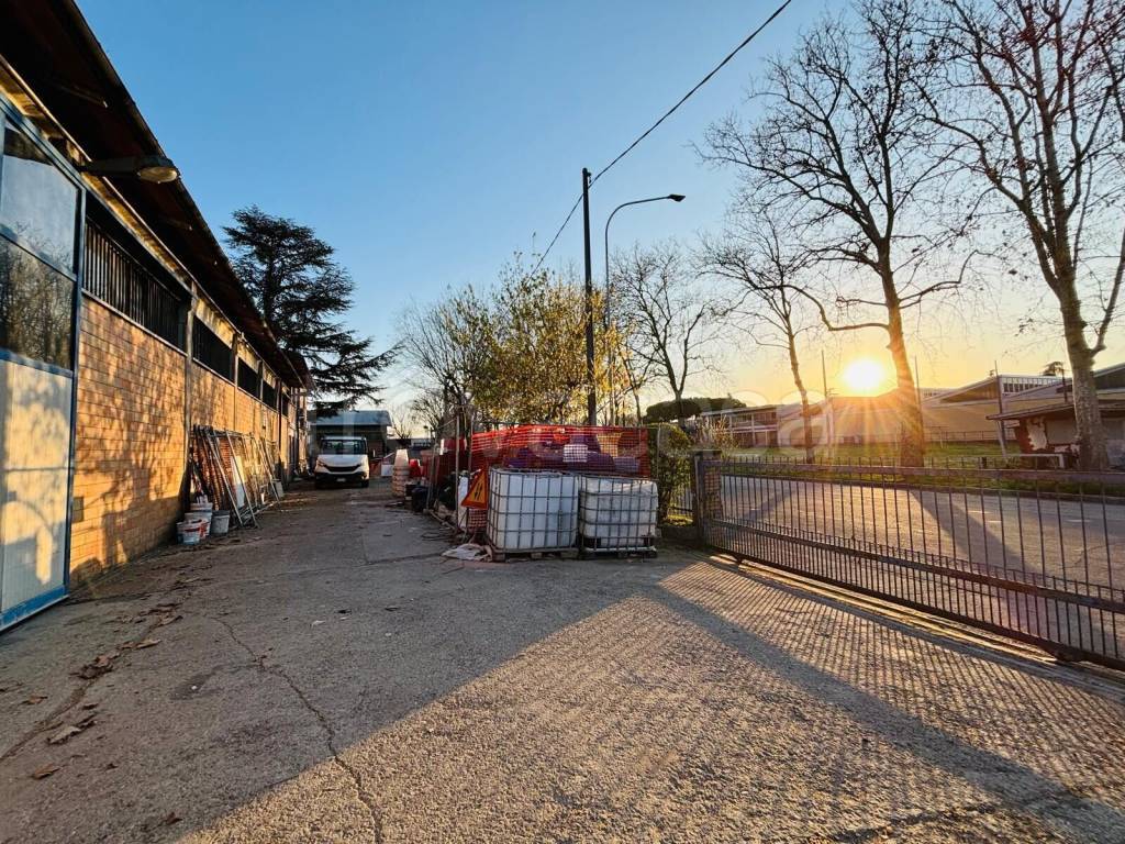 immagine annuncio 5 di 15