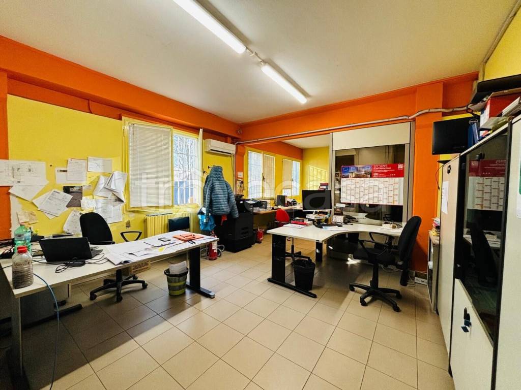 immagine annuncio 11 di 15