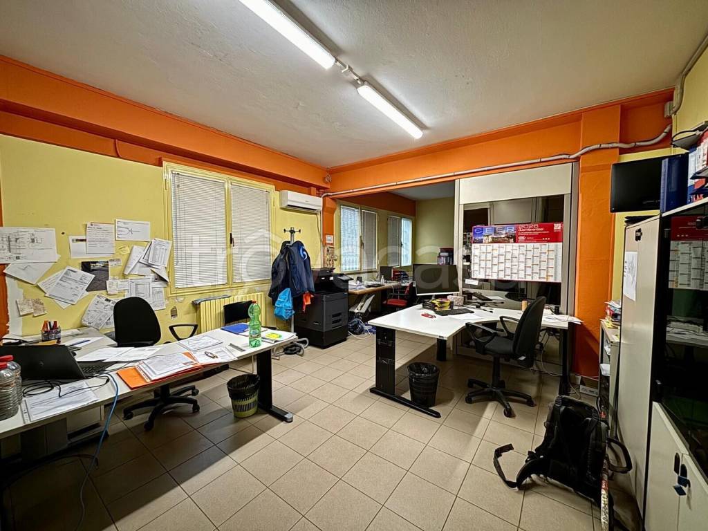 immagine annuncio 9 di 15