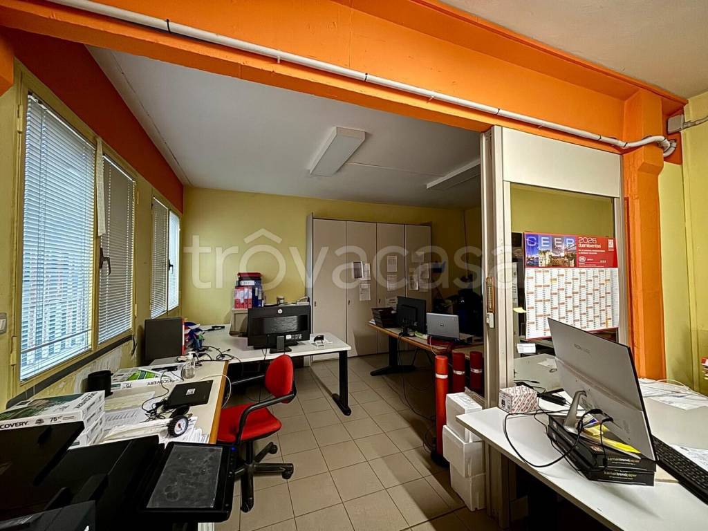 immagine annuncio 10 di 15