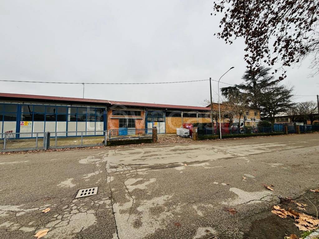 immagine annuncio 12 di 15