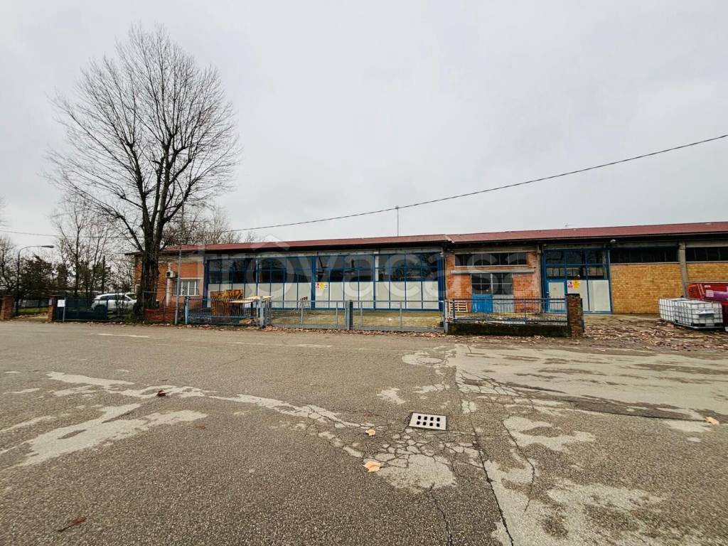 immagine annuncio 13 di 15