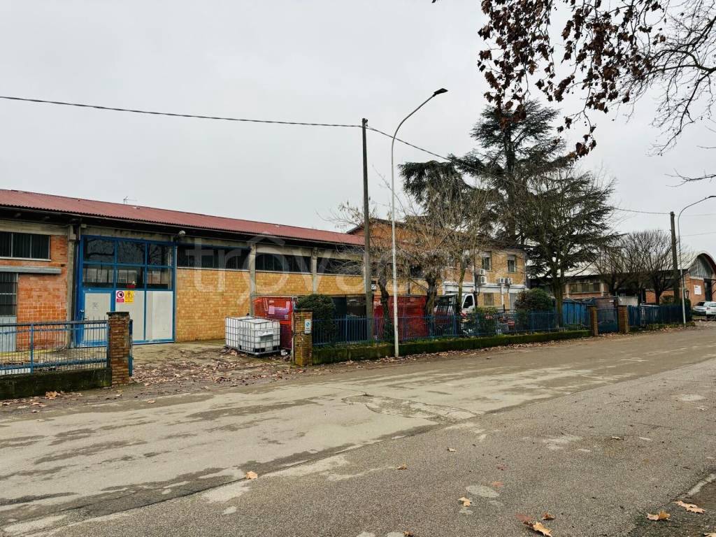 immagine annuncio 14 di 15