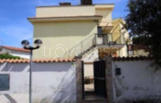 immagine annuncio 3 di 8