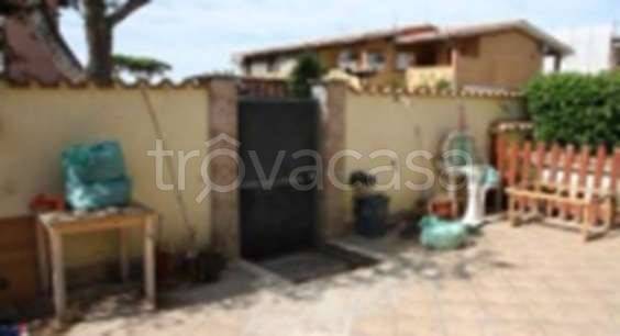 immagine annuncio 4 di 8