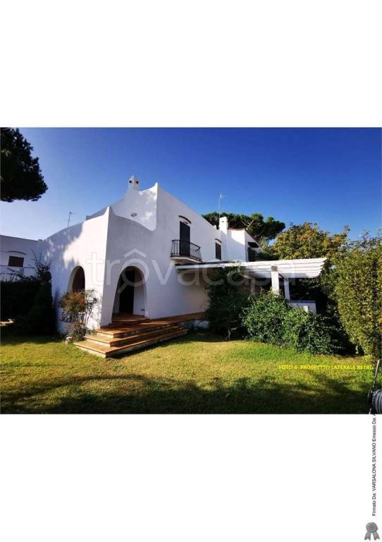 immagine annuncio 8 di 11