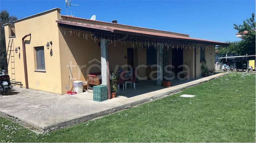 immagine annuncio 2 di 6