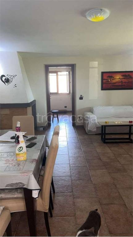 immagine annuncio 5 di 6