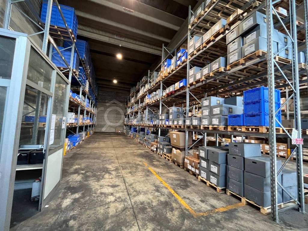 immagine annuncio 12 di 15