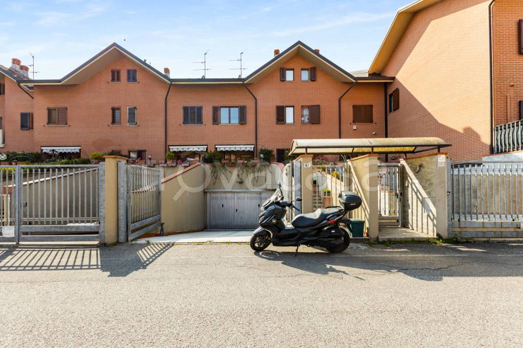 immagine annuncio 1 di 15