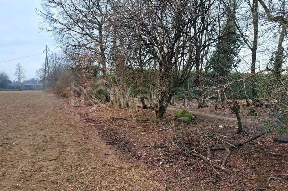 immagine annuncio 4 di 13