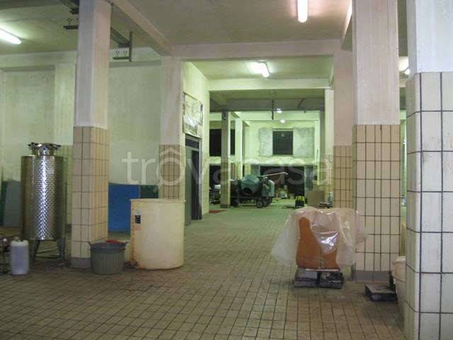 immagine annuncio 8 di 11