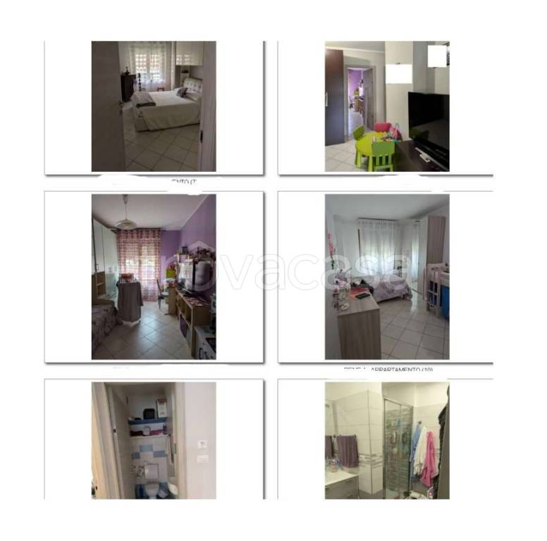 immagine annuncio 2 di 12