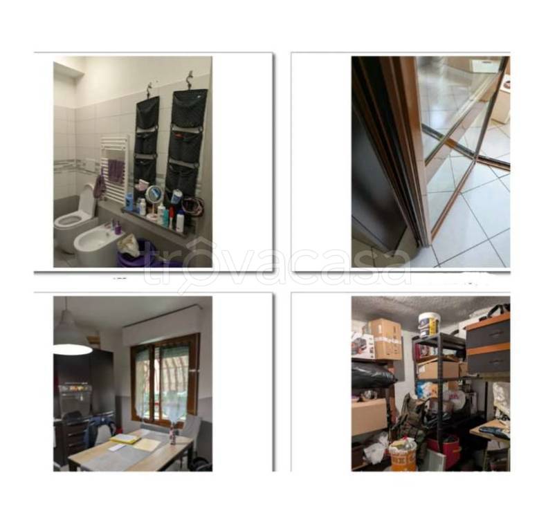 immagine annuncio 3 di 12