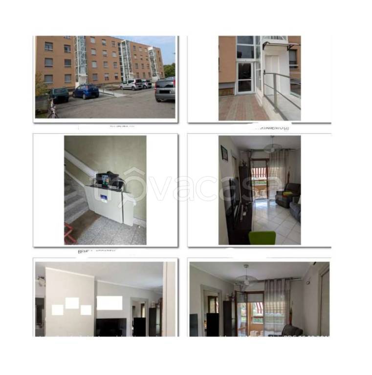 immagine annuncio 4 di 12