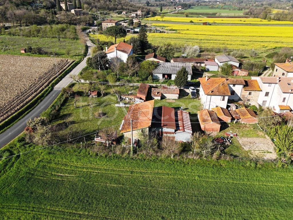 immagine annuncio 3 di 8