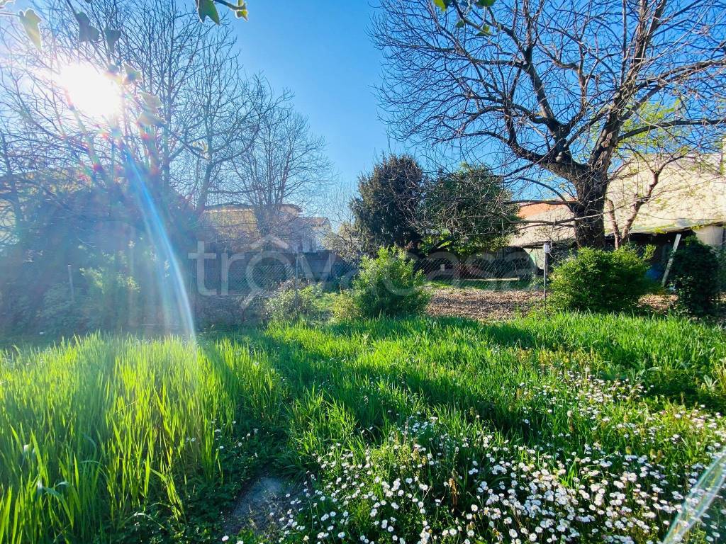 immagine annuncio 3 di 6