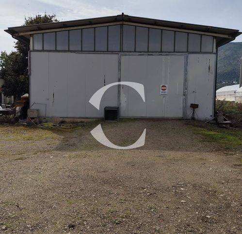 immagine annuncio 2 di 3