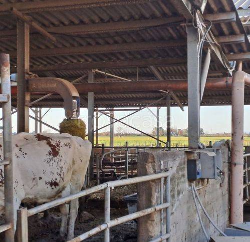 immagine annuncio 10 di 15