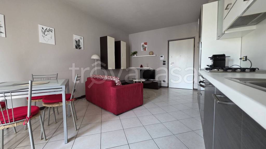 immagine annuncio 5 di 15