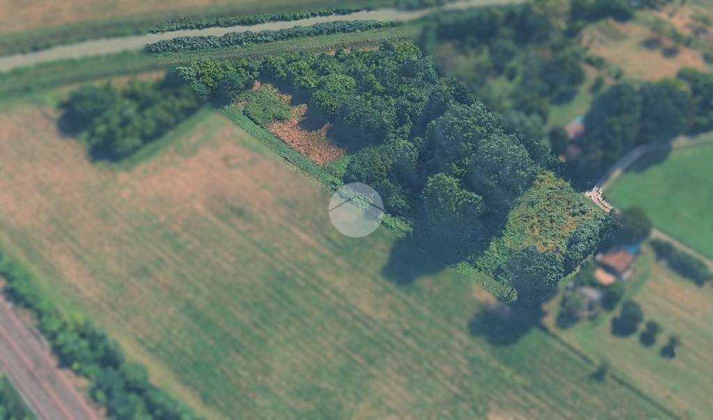 immagine annuncio 2 di 12