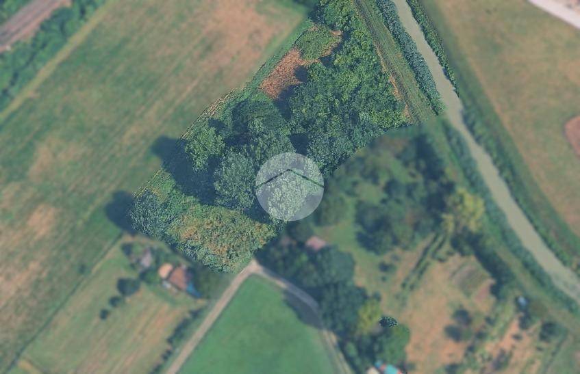 immagine annuncio 4 di 12