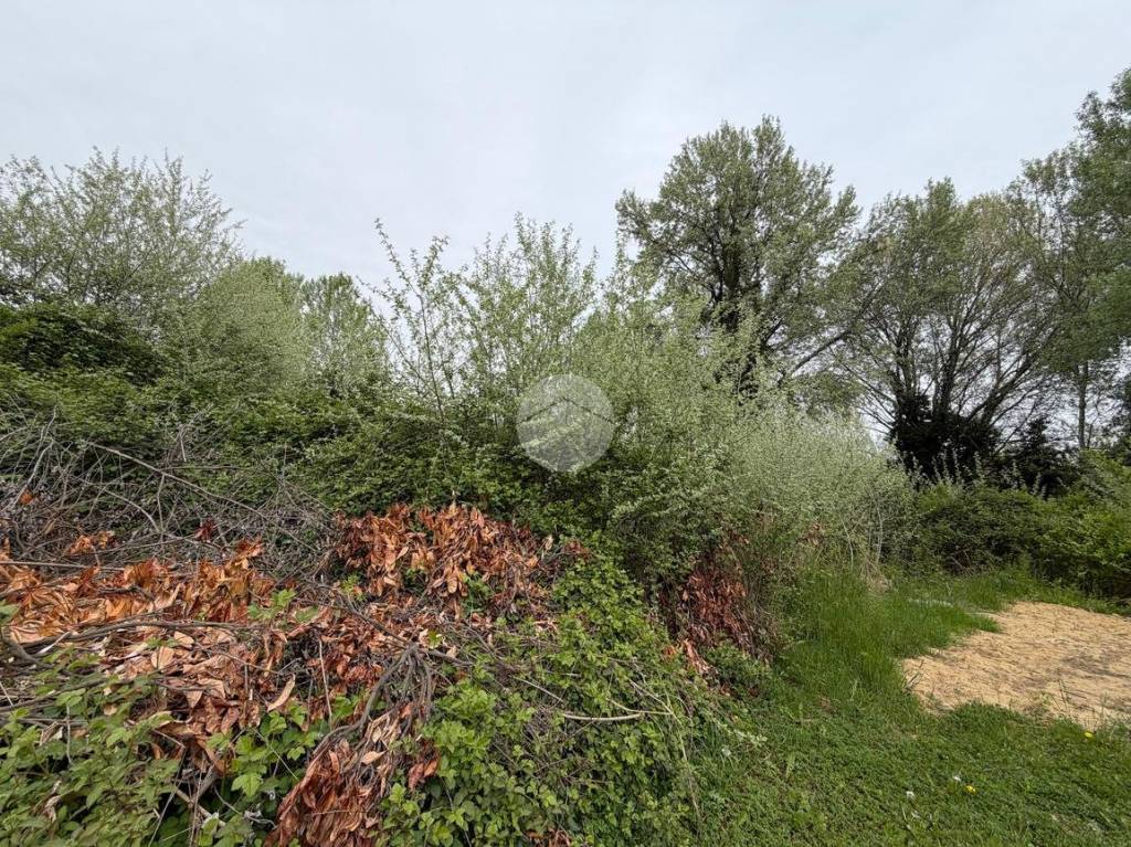 immagine annuncio 6 di 12