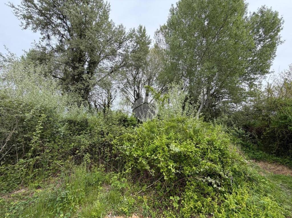 immagine annuncio 9 di 12