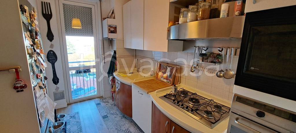 immagine annuncio 9 di 15