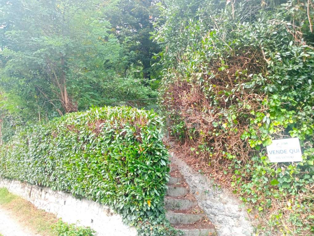 immagine annuncio 1 di 2