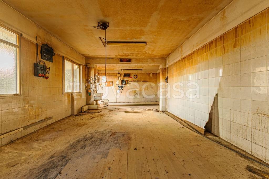 immagine annuncio 3 di 8