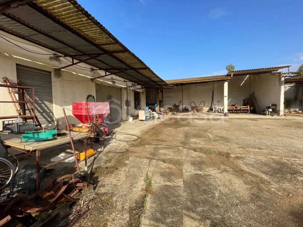 immagine annuncio 9 di 15