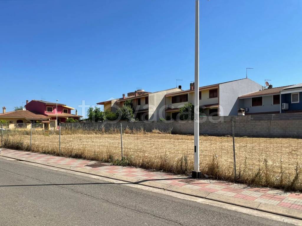 immagine annuncio 9 di 12