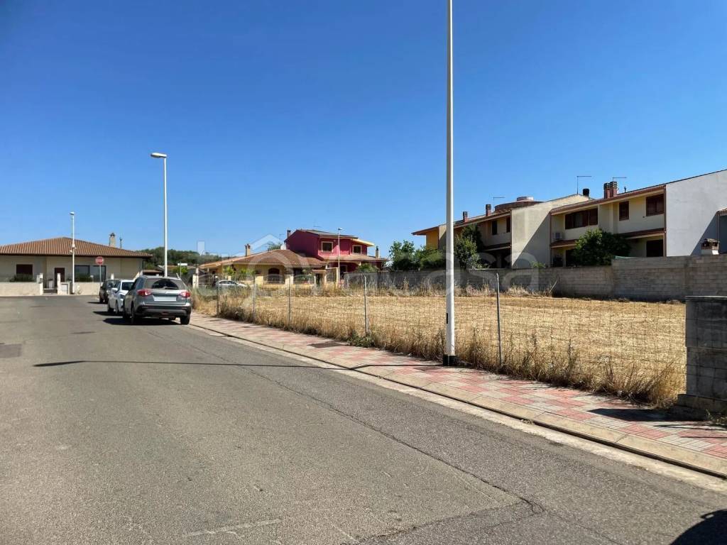 immagine annuncio 10 di 12