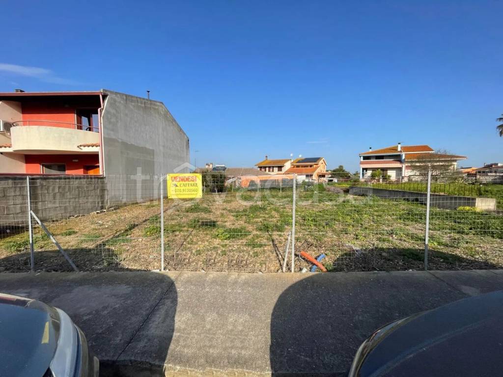 immagine annuncio 11 di 15