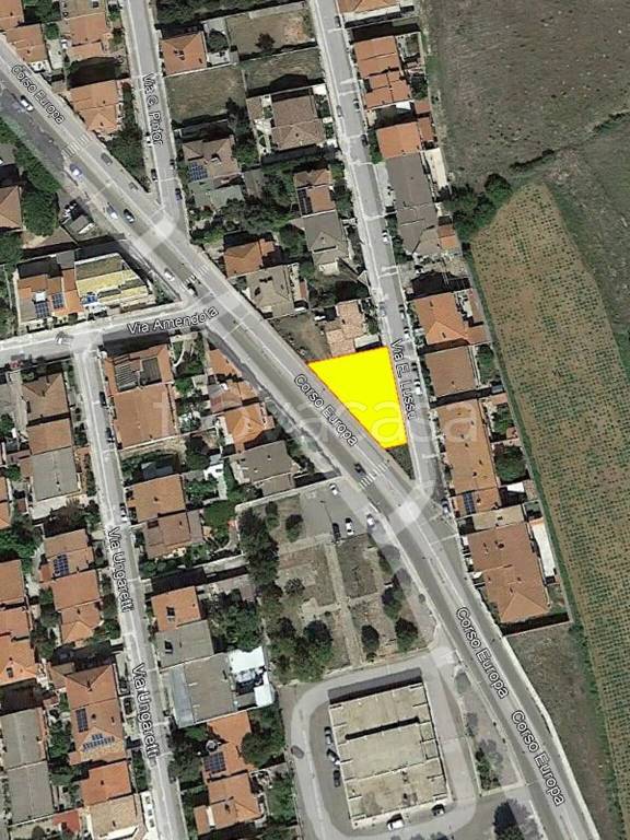 immagine annuncio 2 di 4