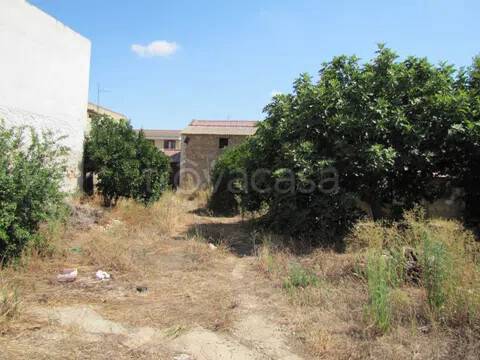 immagine annuncio 10 di 14