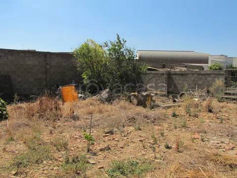 immagine annuncio 11 di 14