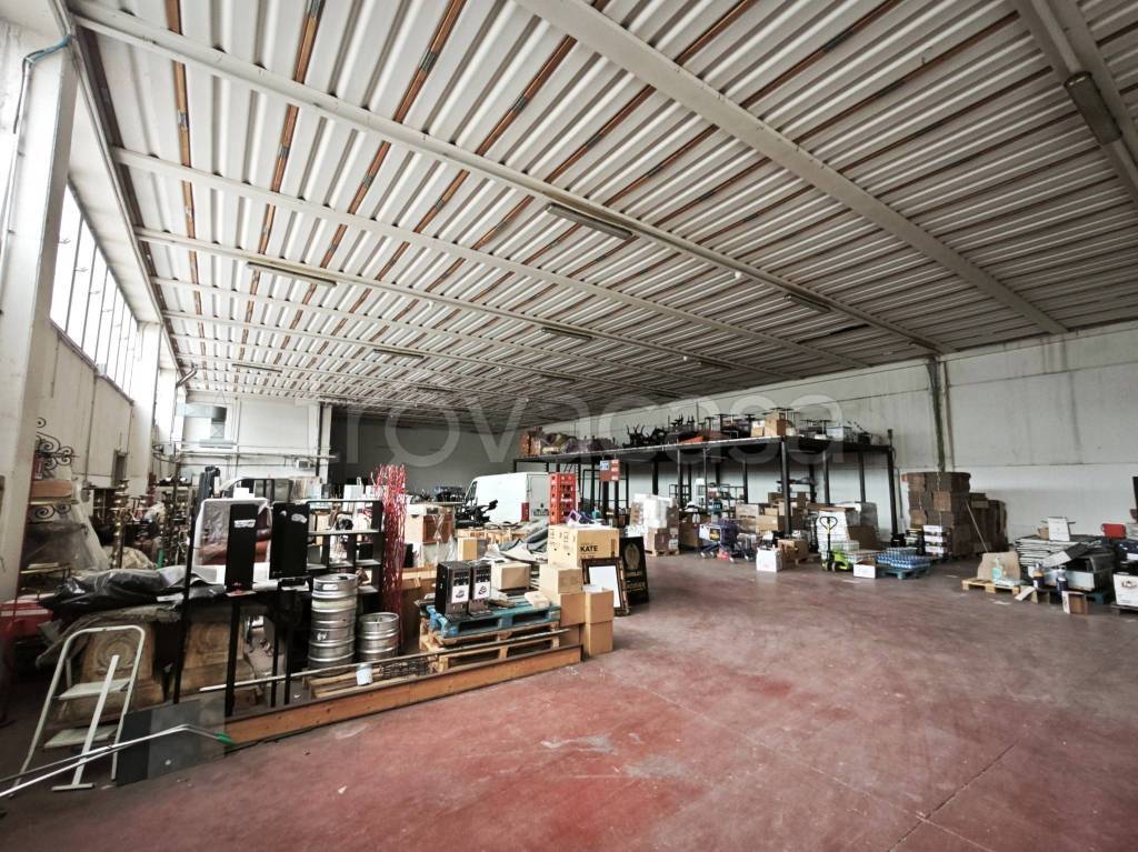 immagine annuncio 9 di 14