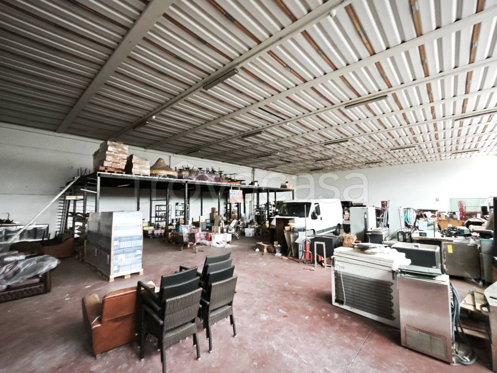 immagine annuncio 10 di 14