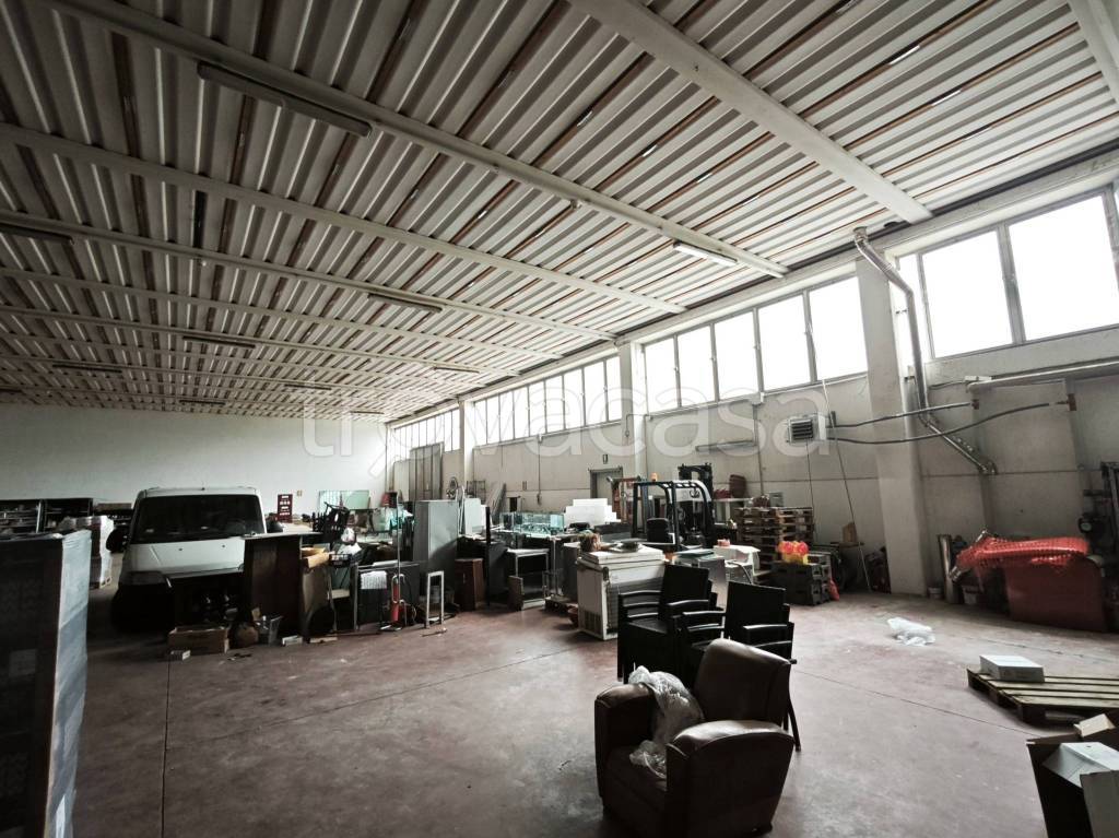 immagine annuncio 11 di 14