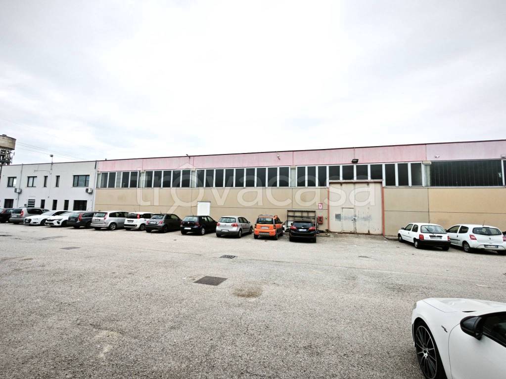 immagine annuncio 12 di 14