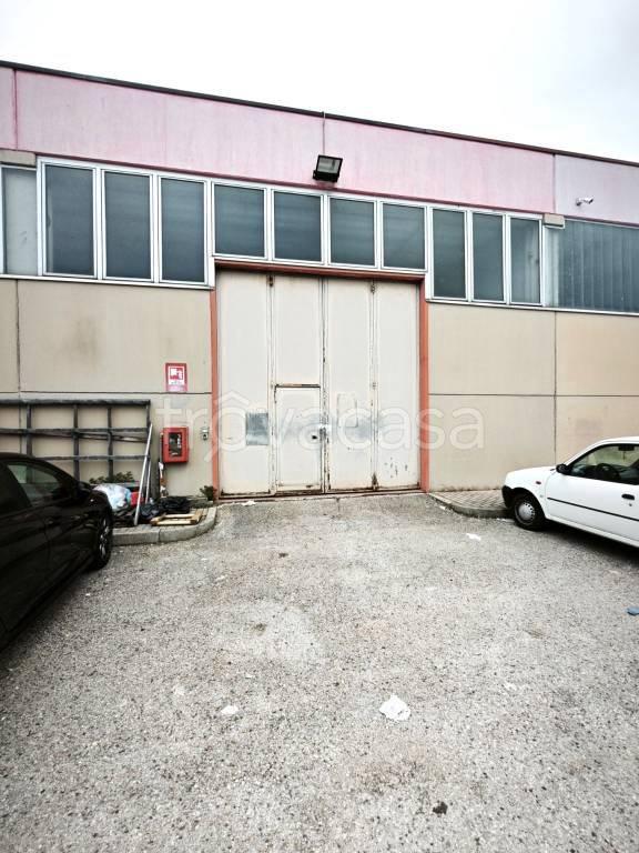 immagine annuncio 13 di 14