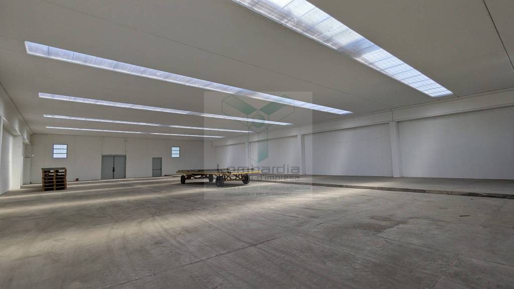 immagine annuncio 5 di 11