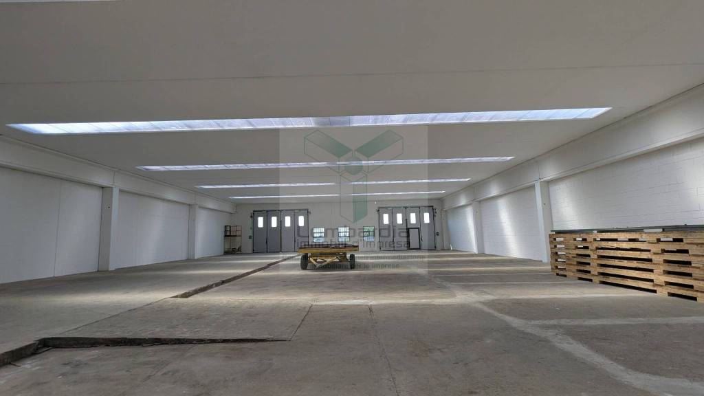 immagine annuncio 7 di 11