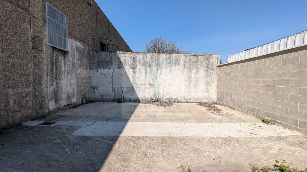 immagine annuncio 10 di 11