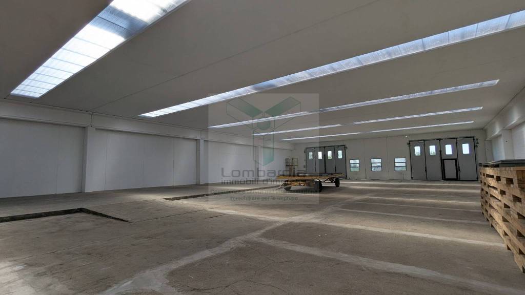 immagine annuncio 2 di 11