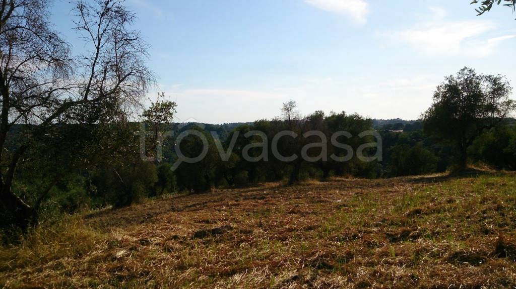 immagine annuncio 5 di 7